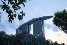 Singapore221.jpg