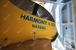 Harmony-of-the-Seas_408.jpg