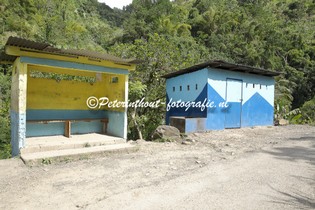 Jamaica_Blue Mountain-128.jpg