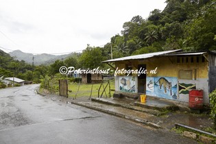 Jamaica_Blue Mountain-143.jpg