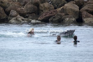 Jamaica_Dolphin Cove-103.jpg