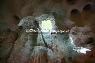 Jamaica_Green Grotto Caves-100.jpg