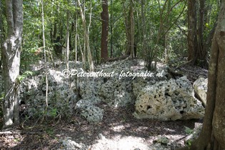 Jamaica_Green Grotto Caves-105.jpg