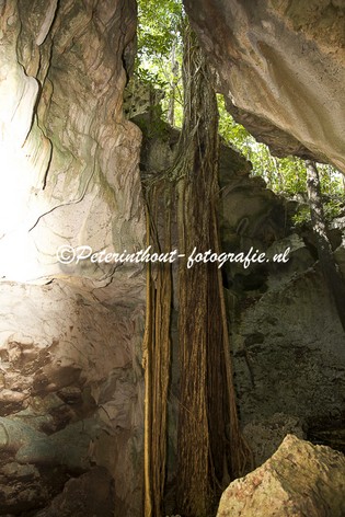 Jamaica_Green Grotto Caves-106.jpg