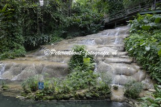Jamaica_Konoko Falls-107.jpg