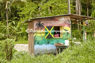 Jamaica_Natuur-119.jpg