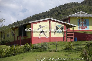 Jamaica_Usain Bolt school Sherwood Content-102.jpg